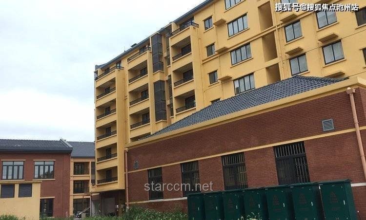 过度解释与适度阐述：信息传递的深度与效率对比